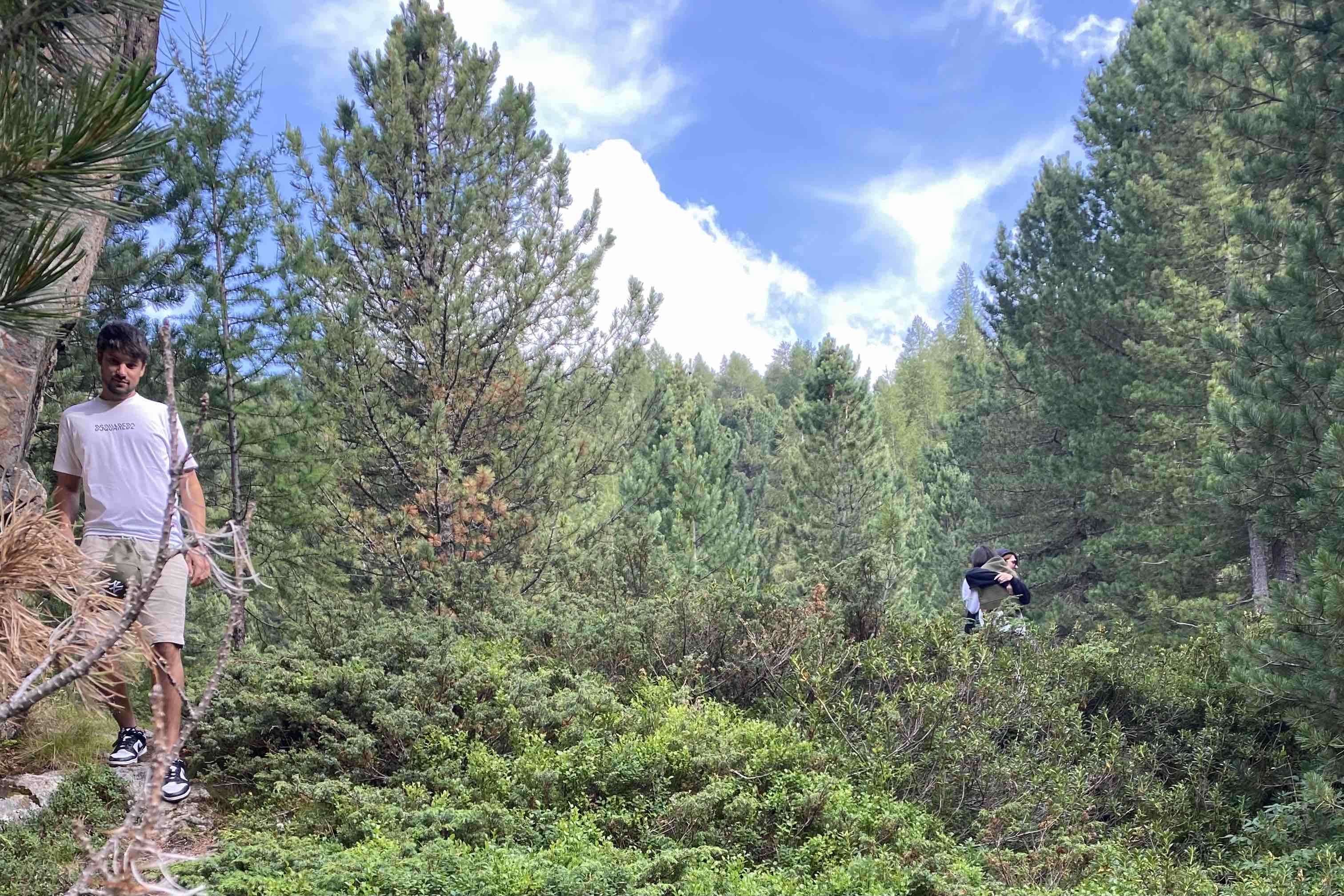 Val Viola vicino a Bormio: la Guida Completa