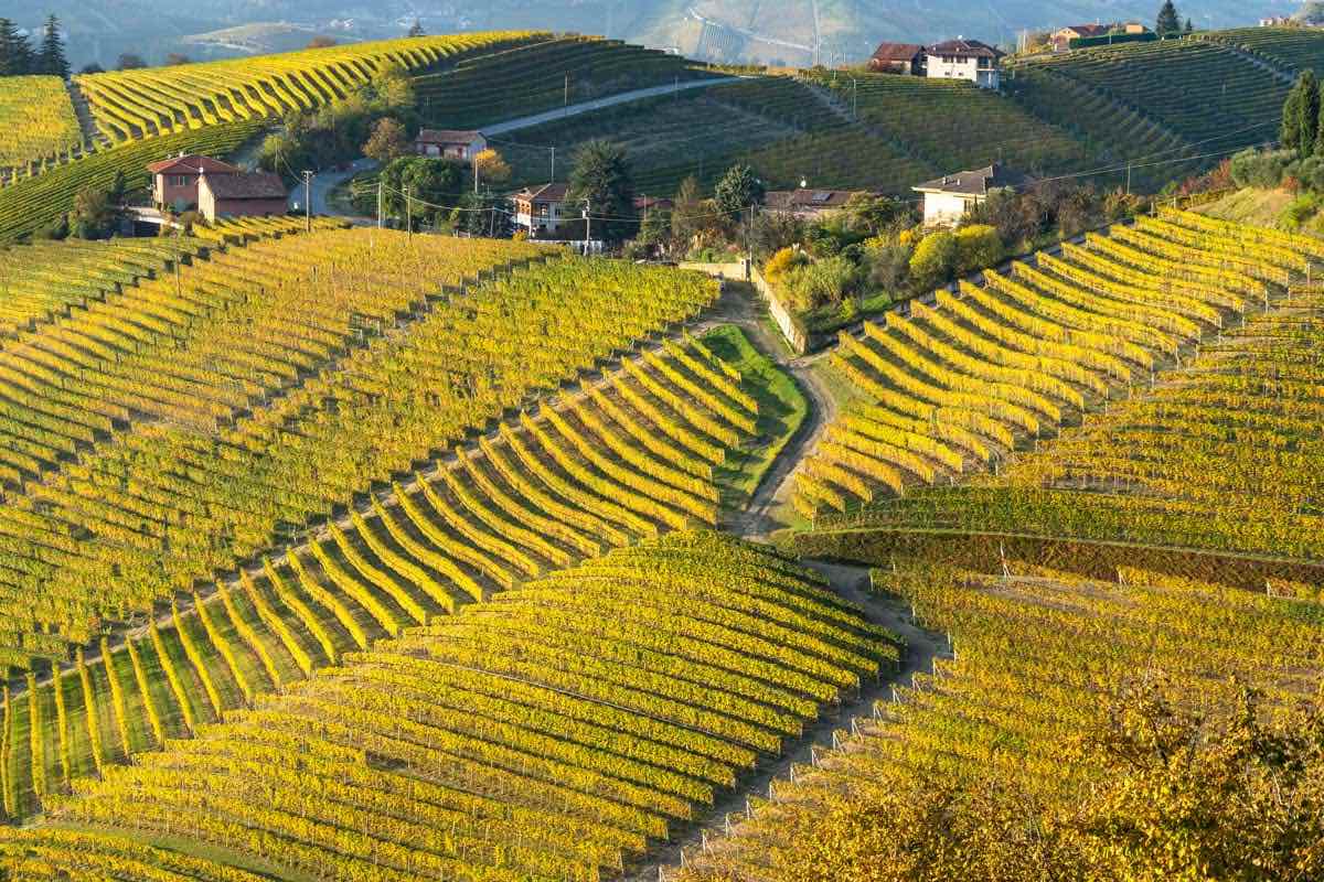 See experiences in Monferrato