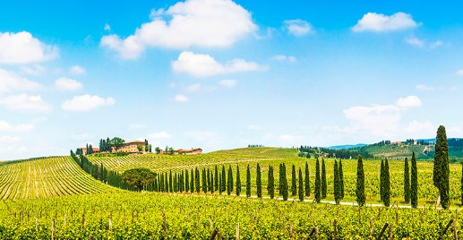 See experiences in Val d'Elsa