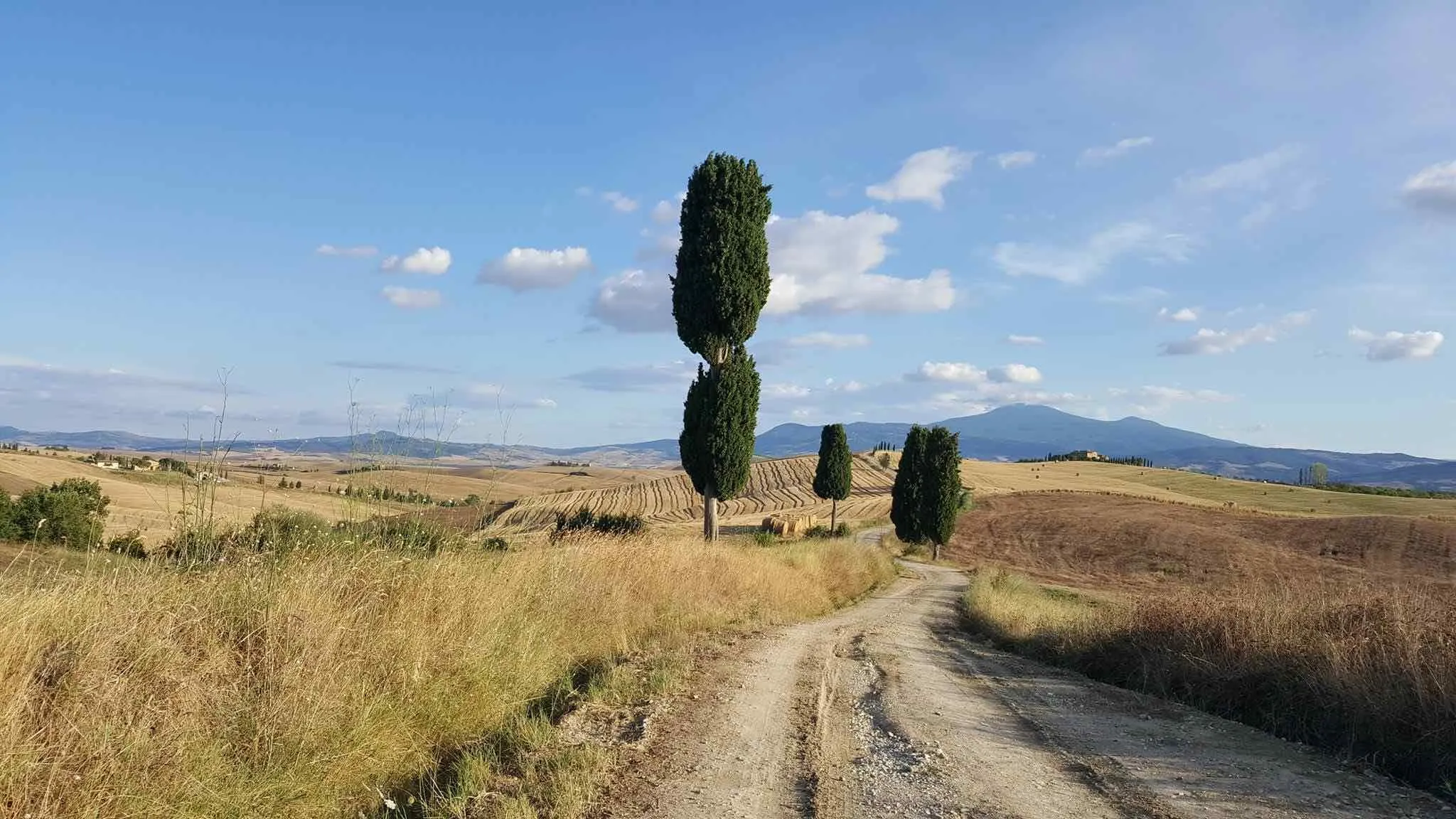 Giro in e-bike classico della Val d'Orcia da Pienza