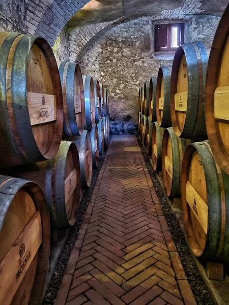 Degustazione vini e visita alla cantina Mosnel in Franciacorta