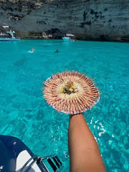 Giro dell'isola di Lampedusa in barca con pranzo a bordo a base di pesce