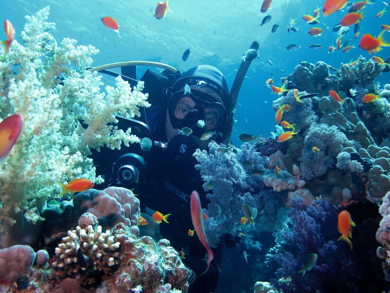Snorkeling nella riserva naturale dell'Isola Bella a Taormina