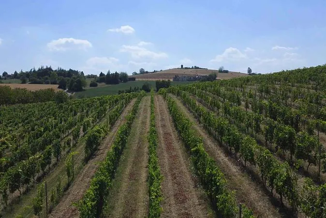 Degustazione vini e visita alle cantine Alemat di Ponzano Monferrato