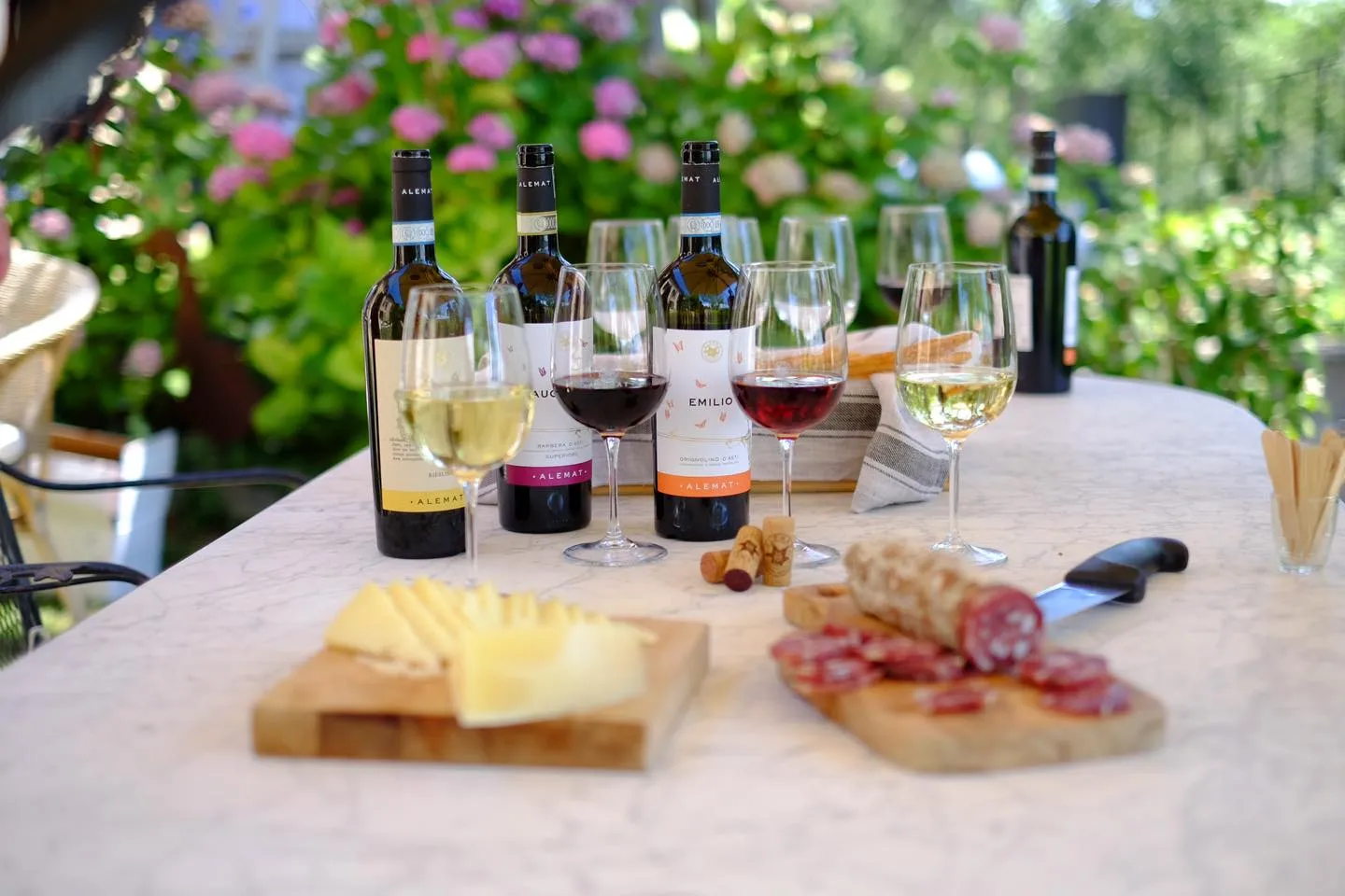 Degustazione vini e visita alle cantine Alemat di Ponzano Monferrato