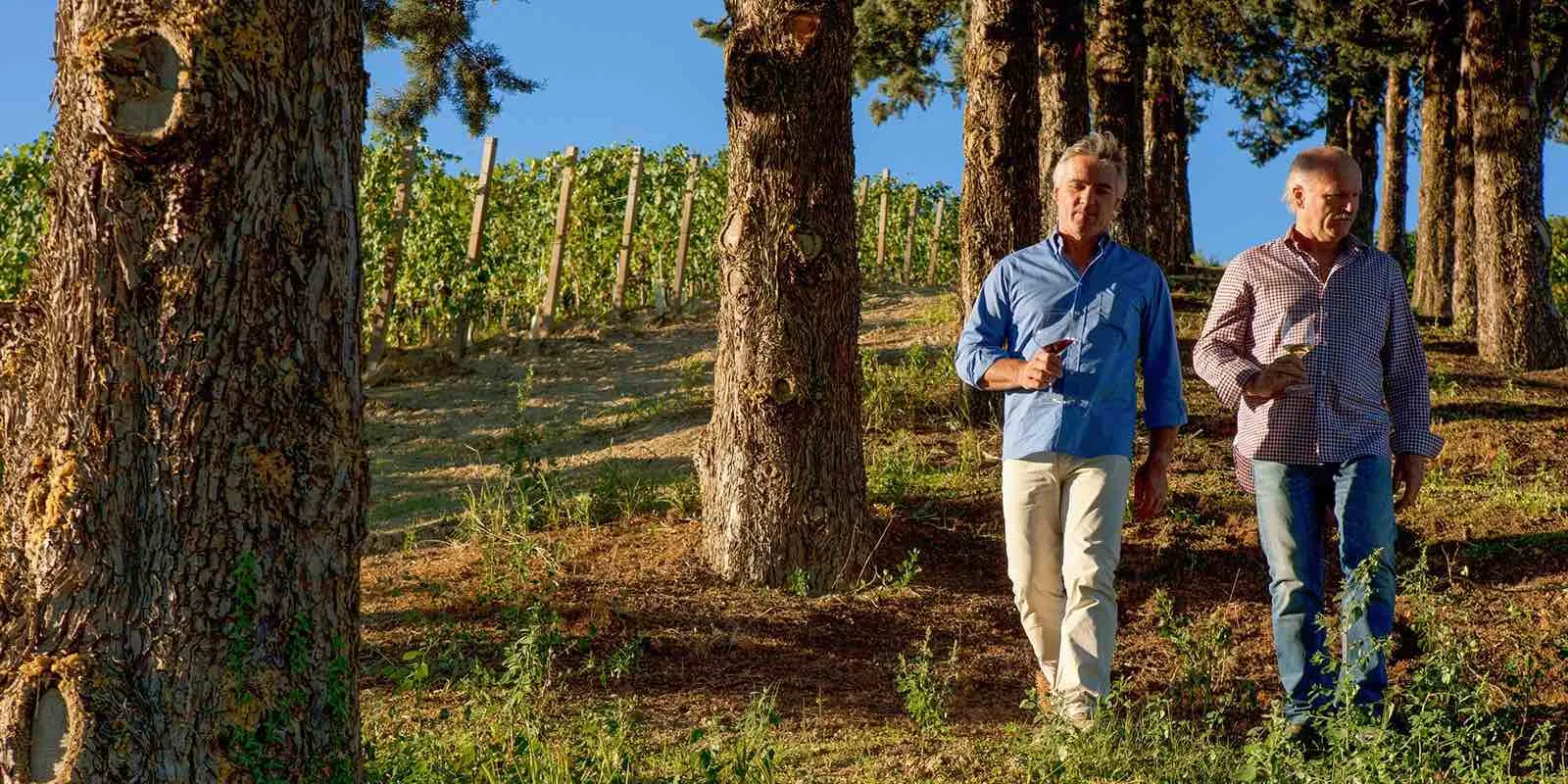 Degustazione Vini in cantina nel Roero