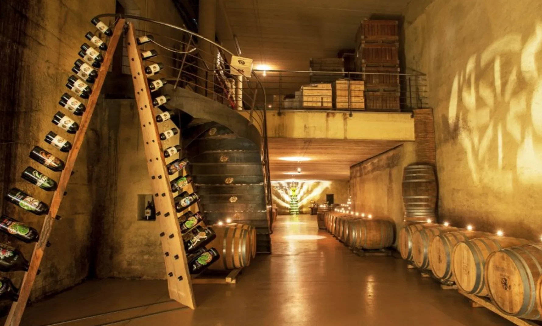 Degustazione Vini in cantina nel Roero