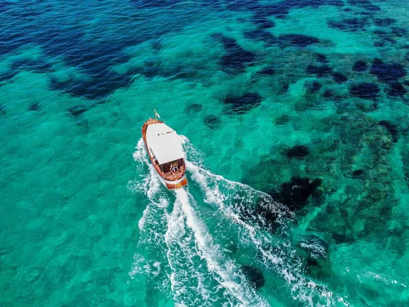 Escursione in barca giornaliera a Tavolara e Molara da Porto San Paolo