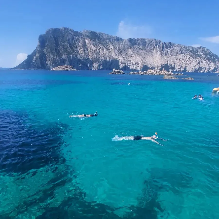 Escursione in barca giornaliera a Tavolara e Molara da Porto San Paolo