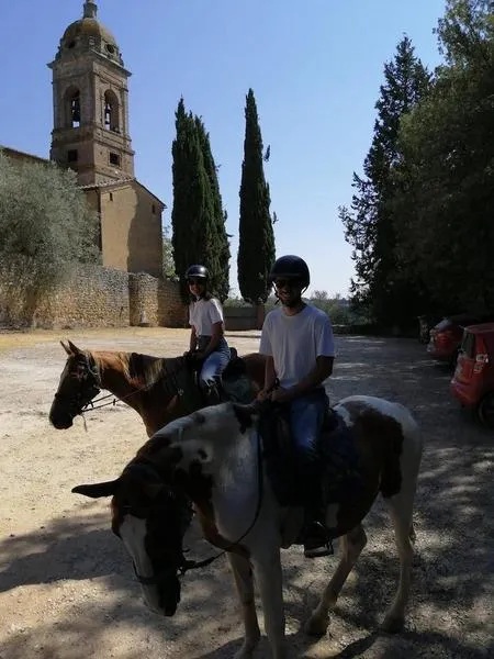 Passeggiata a cavallo sui Colli Senesi in Toscana