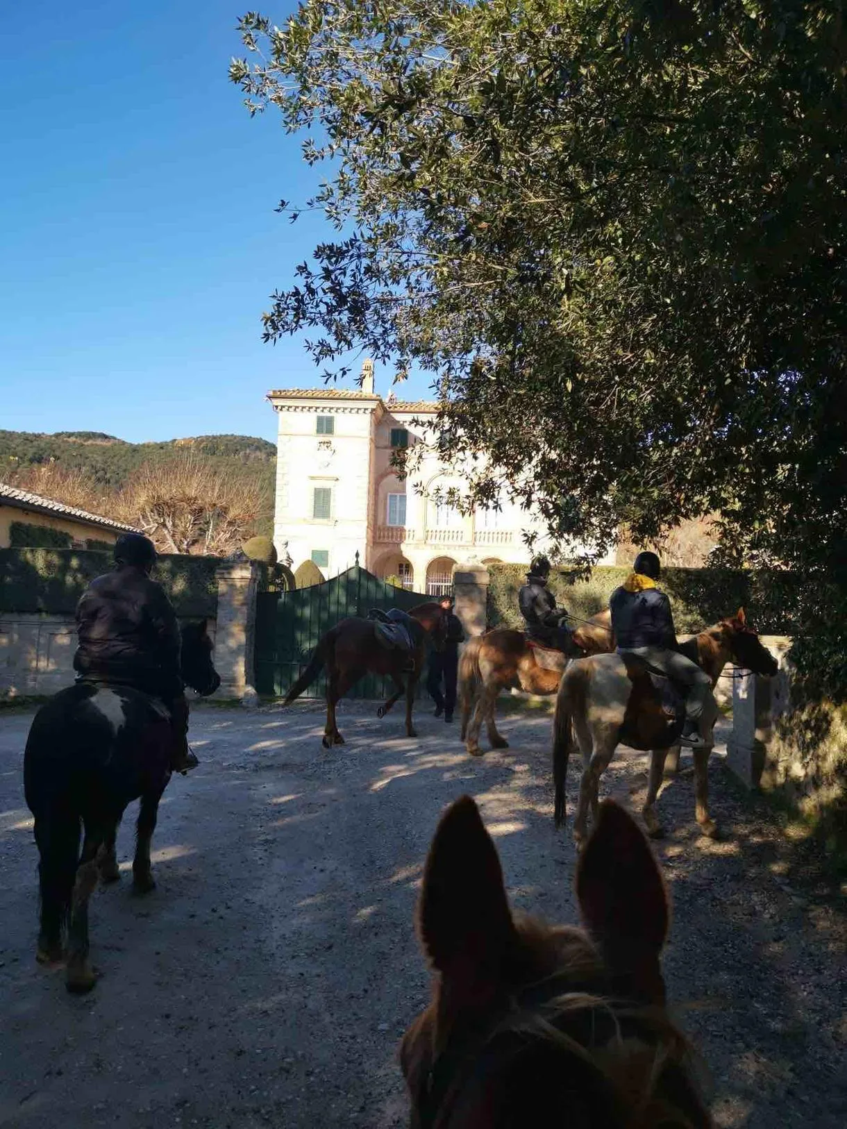 Passeggiata a cavallo sui Colli Senesi in Toscana