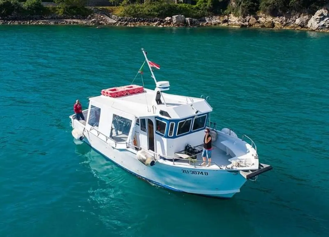 Escursione in barca con pranzo a bordo e snorkeling da Porto Santo Stefano