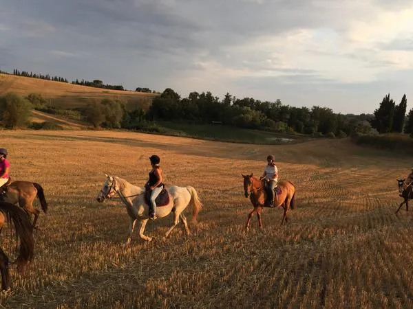 Passeggiata a cavallo a Siena con degustazione di prodotti tipici