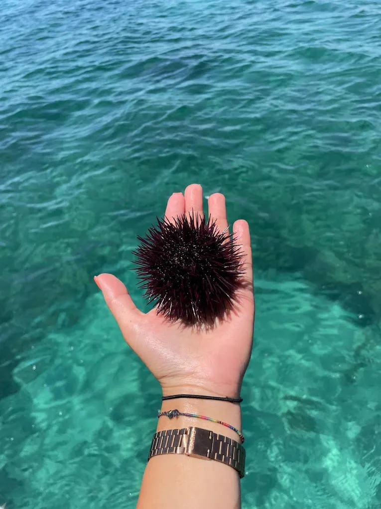 Mezza giornata in barca con snorkeling e aperitivo a Marzamemi