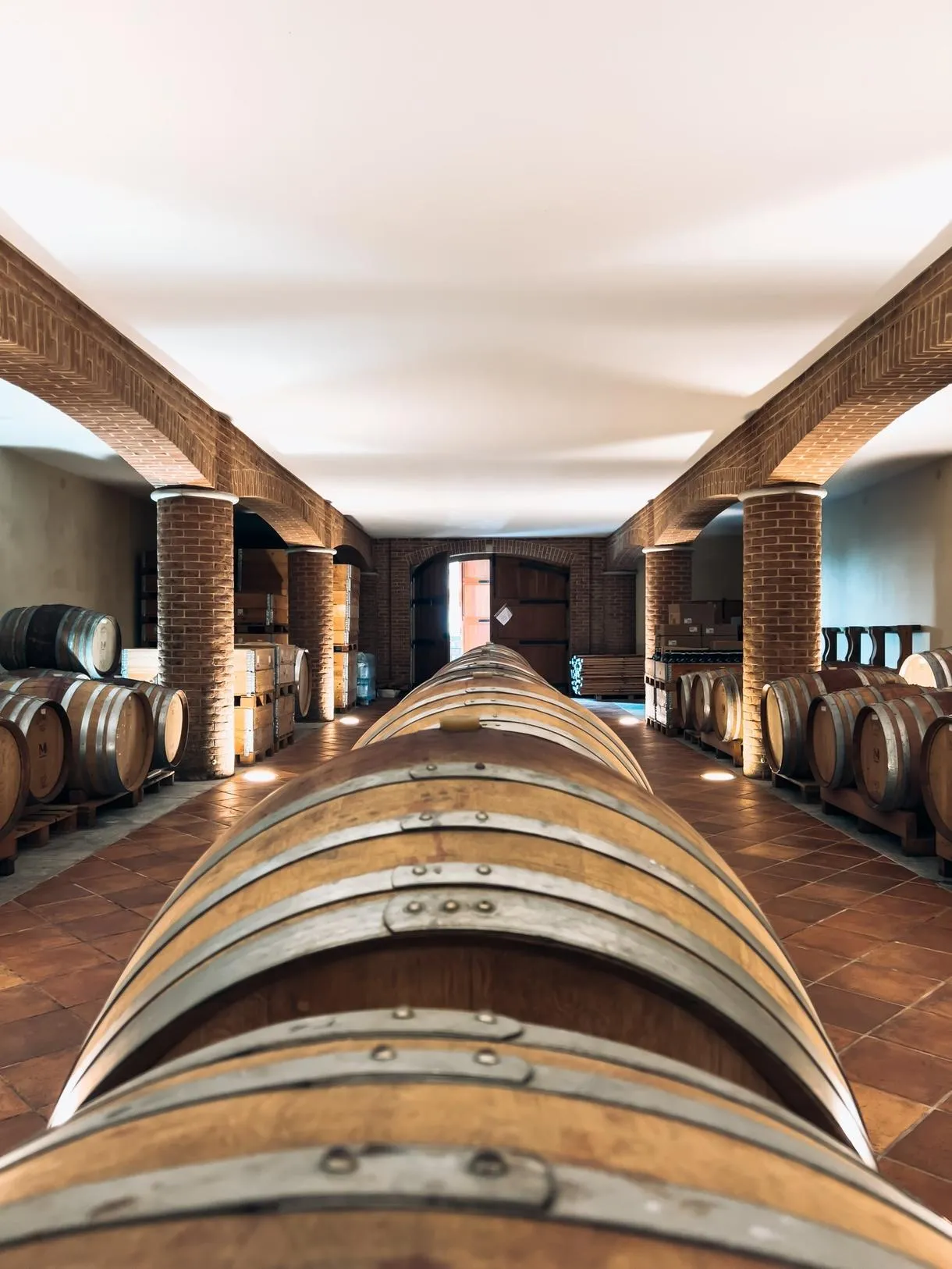 Picnic in vigna nel Monferrato a Montemagno