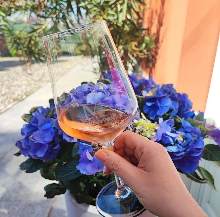 Picnic in vigna nel Monferrato a Montemagno