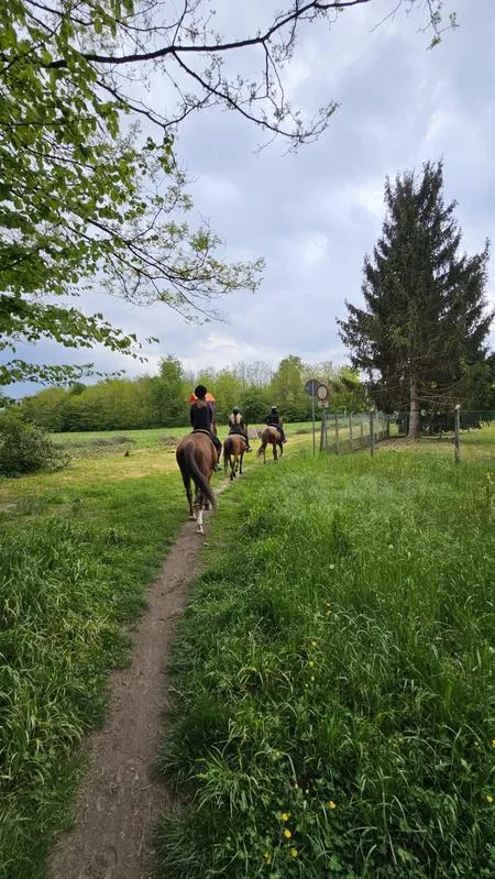 Passeggiata a cavallo sulle colline del comasco con pranzo in agriturismo a Olgiate