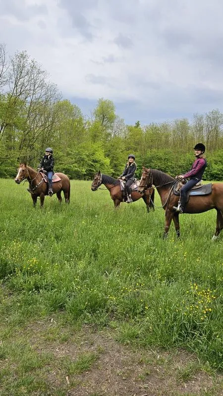 Passeggiata a cavallo sulle colline del comasco con pranzo in agriturismo a Olgiate
