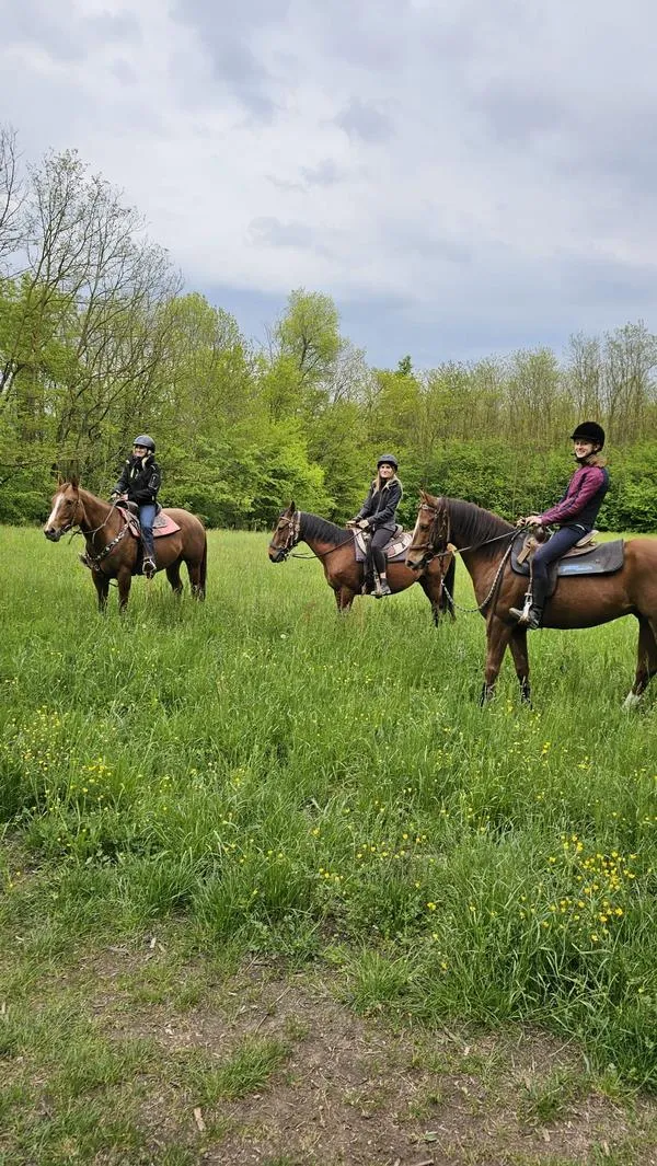 Passeggiata a cavallo sulle colline del comasco con pranzo in agriturismo a Olgiate