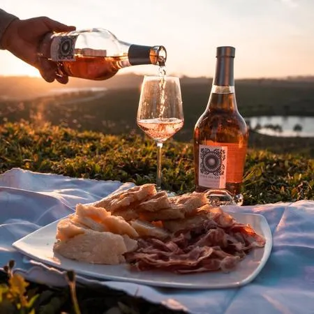 Degustazione di vini sul Lago di Garda alla cantina Perla del Garda a Lonato