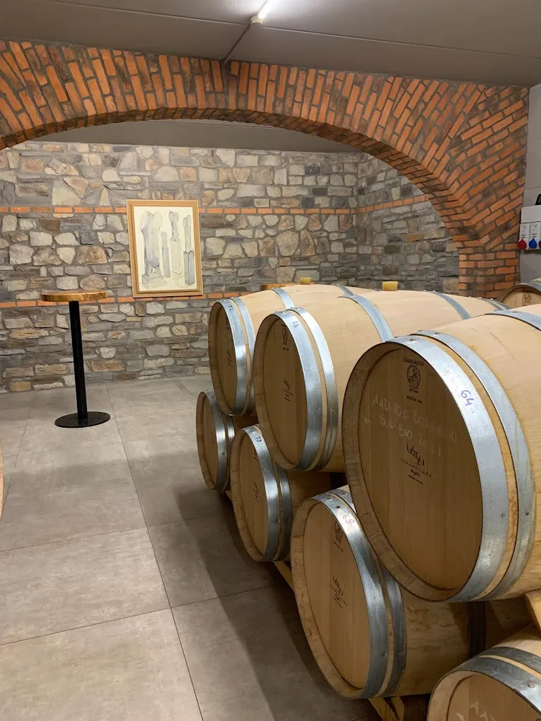 Degustazione vini e visita alla Cantina Villanoviana a Castagneto Carducci