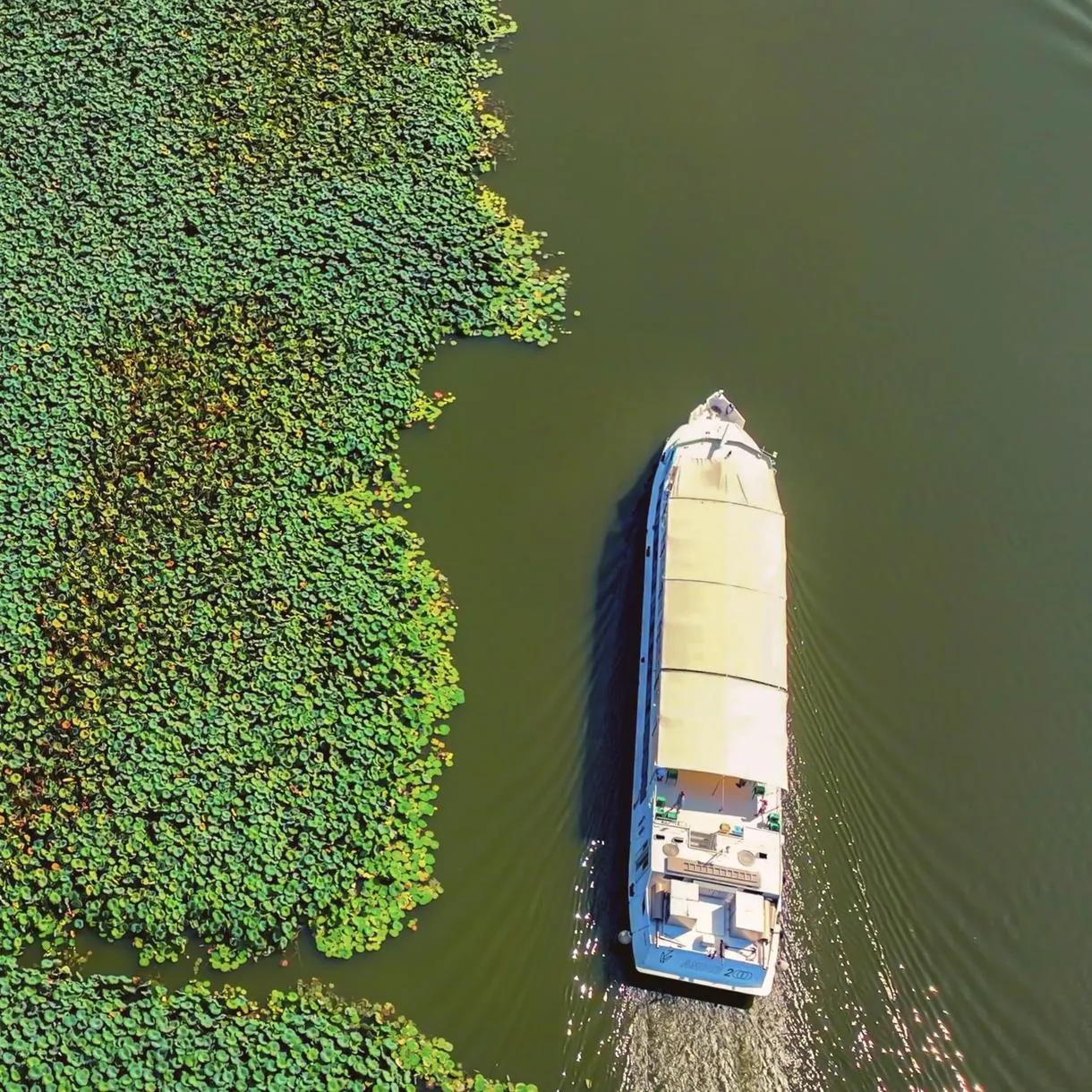 Navigazione sul fiume Mincio con pranzo a bordo