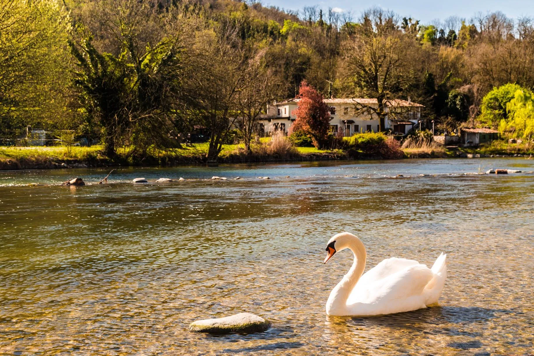 Navigazione sul fiume Mincio con pranzo a bordo