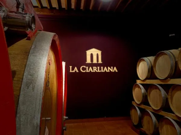 Degustazioni vini e olio alla cantina La Ciarliana sulle colline di Montepulciano