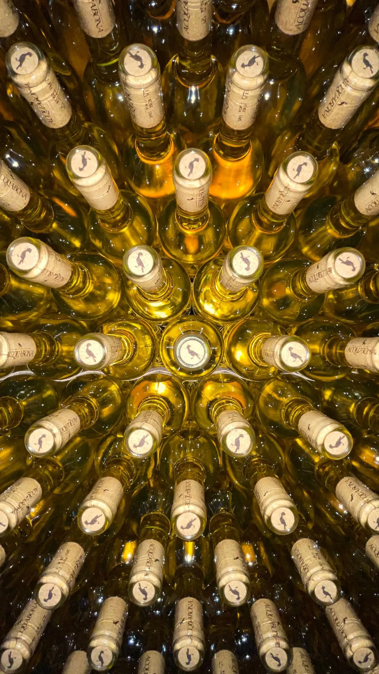 Degustazione vini guidata ad Acquabona