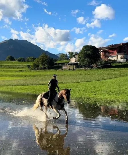 Passeggiata a cavallo in Val Seriana ai piedi delle PreAlpi Orobie a Onore