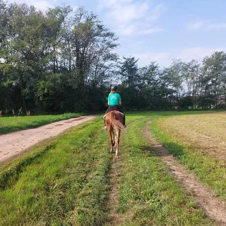 Passeggiata a cavallo sopra Como a San Fermo della Battaglia