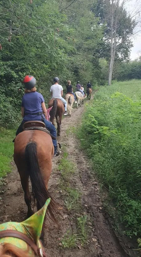 Passeggiata a cavallo fuori Milano a Robecchetto con Induno