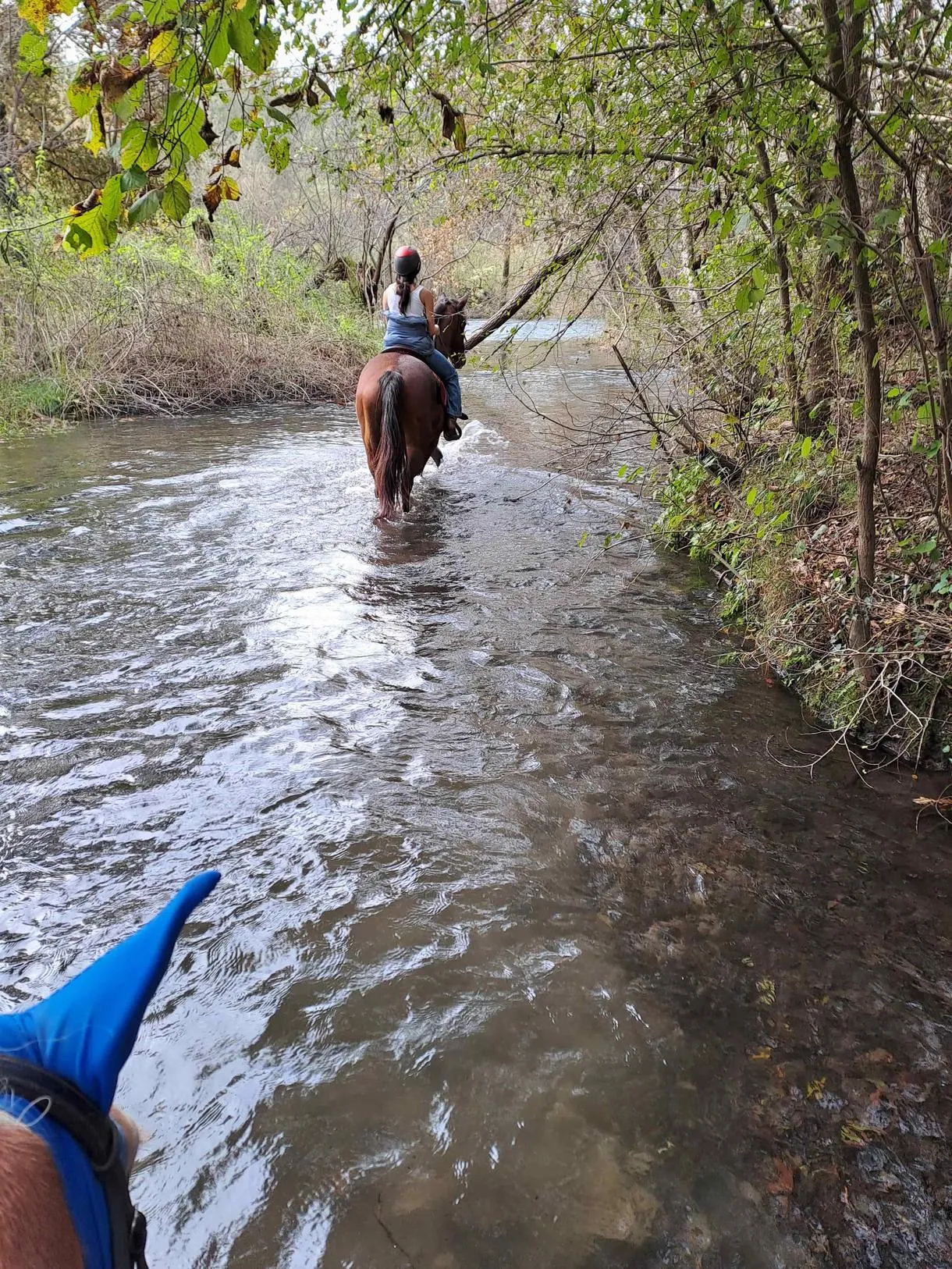 Passeggiata a cavallo fuori Milano a Robecchetto con Induno
