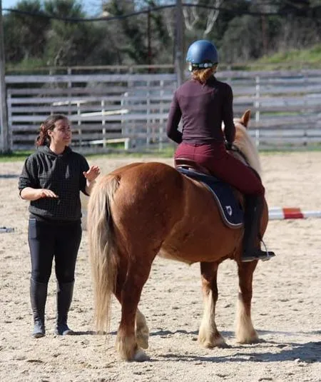 Lezione di Equitazione