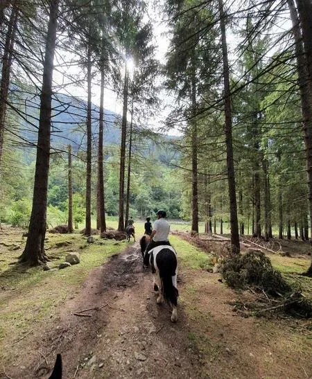 Passeggiata di un'ora e mezza