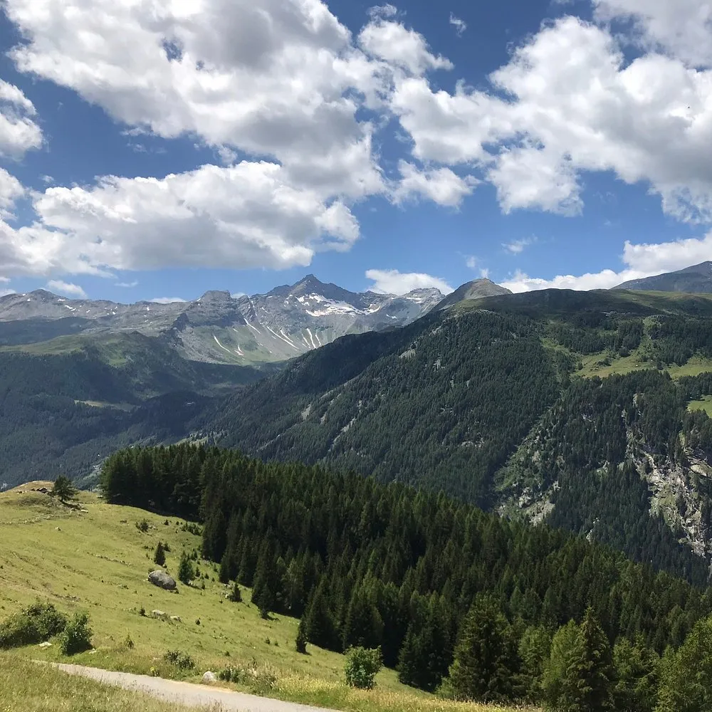 Pranzo tipico in baita con vista panoramica su Madesimo