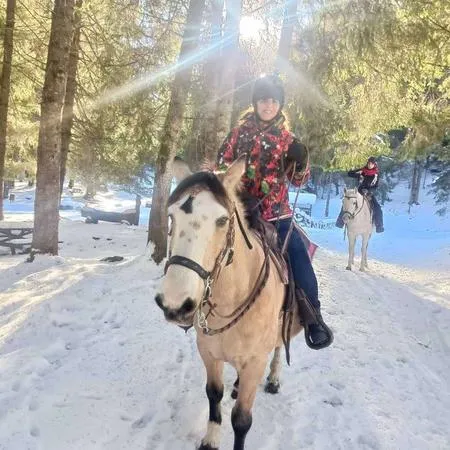 Alla ricerca di Babbo Natale