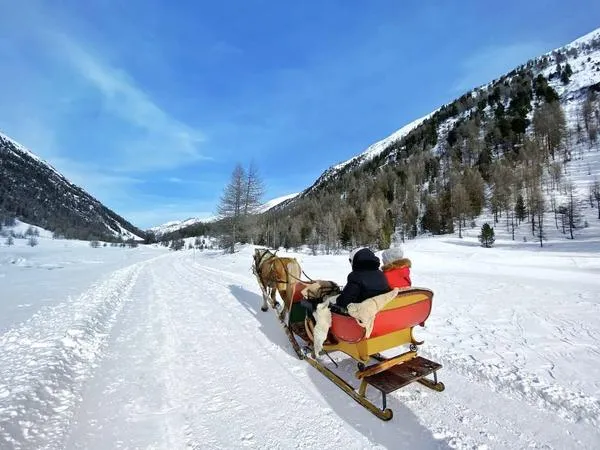 Giro su slitta e cavallo a Livigno