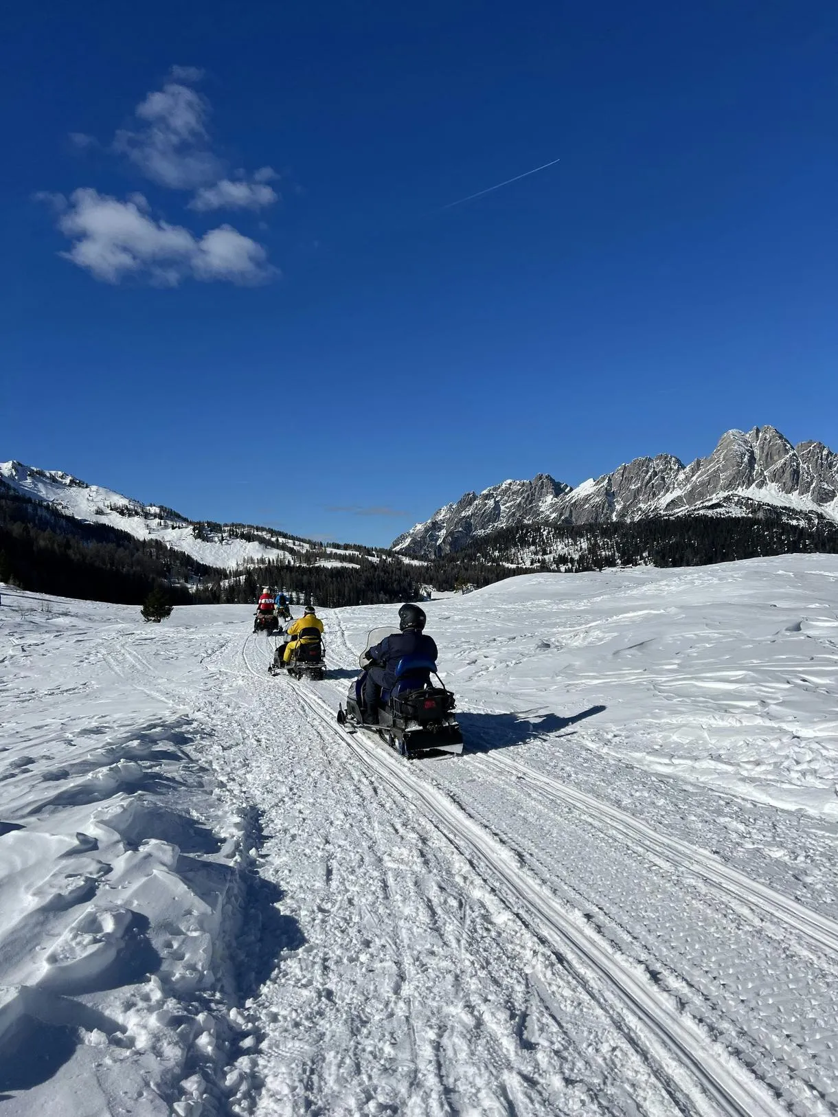 Escursione in motoslitta di 3 ore con pranzo in baita sull'Altopiano di Casera Razzo o Sauris