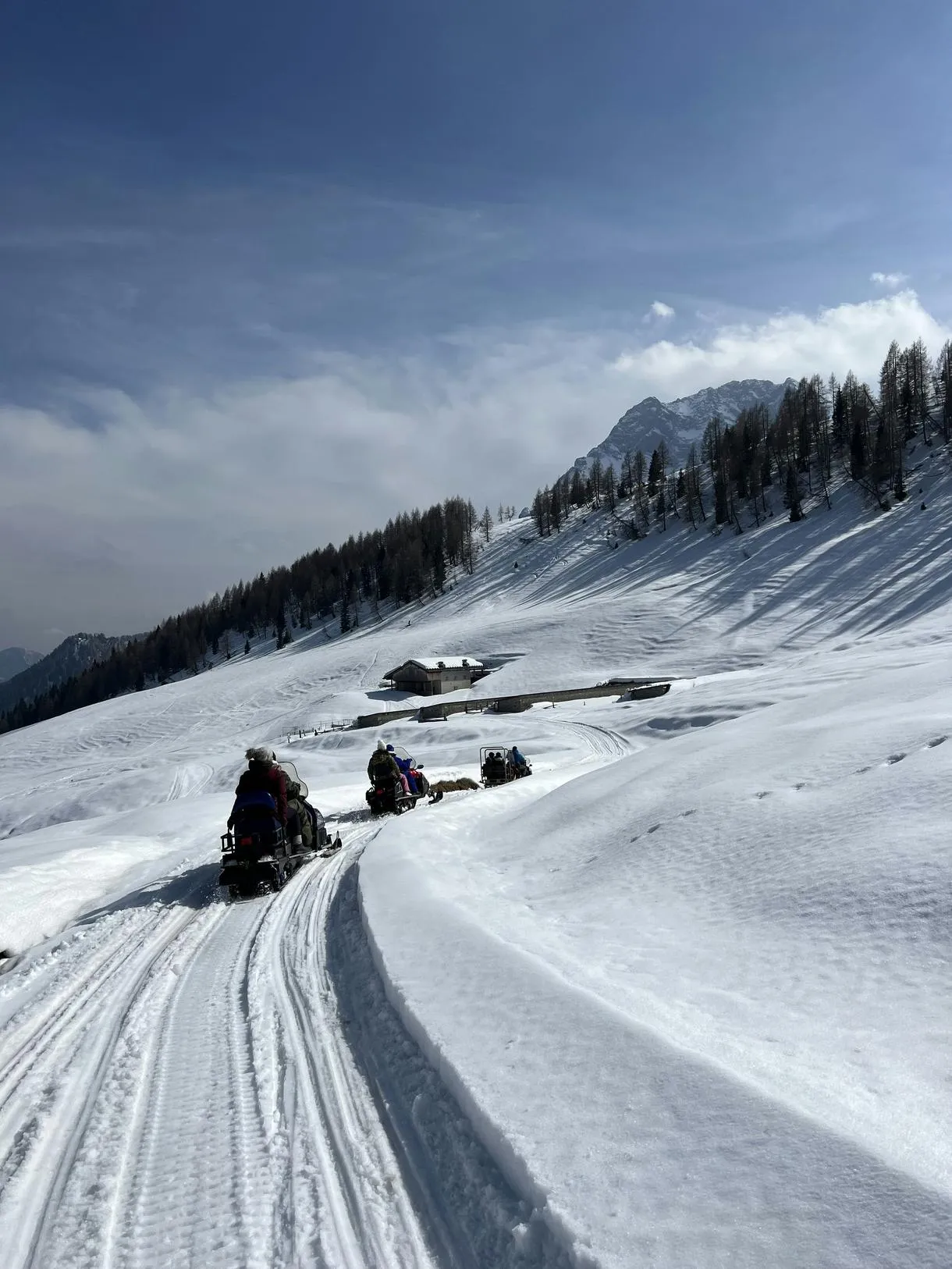 Escursione in motoslitta di 3 ore con pranzo in baita sull'Altopiano di Casera Razzo o Sauris