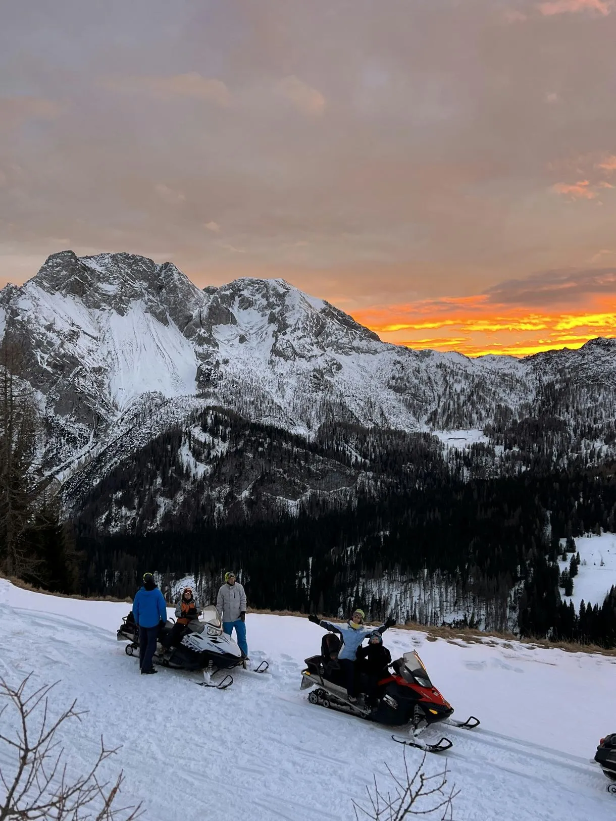 Escursione in motoslitta con cena in baita a Casera Razzo o Sauris