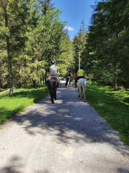 Passeggiata a Cavallo vicino a Ponte di Legno