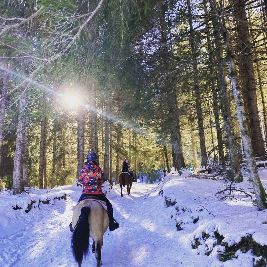 Passeggiata a Cavallo vicino a Ponte di Legno