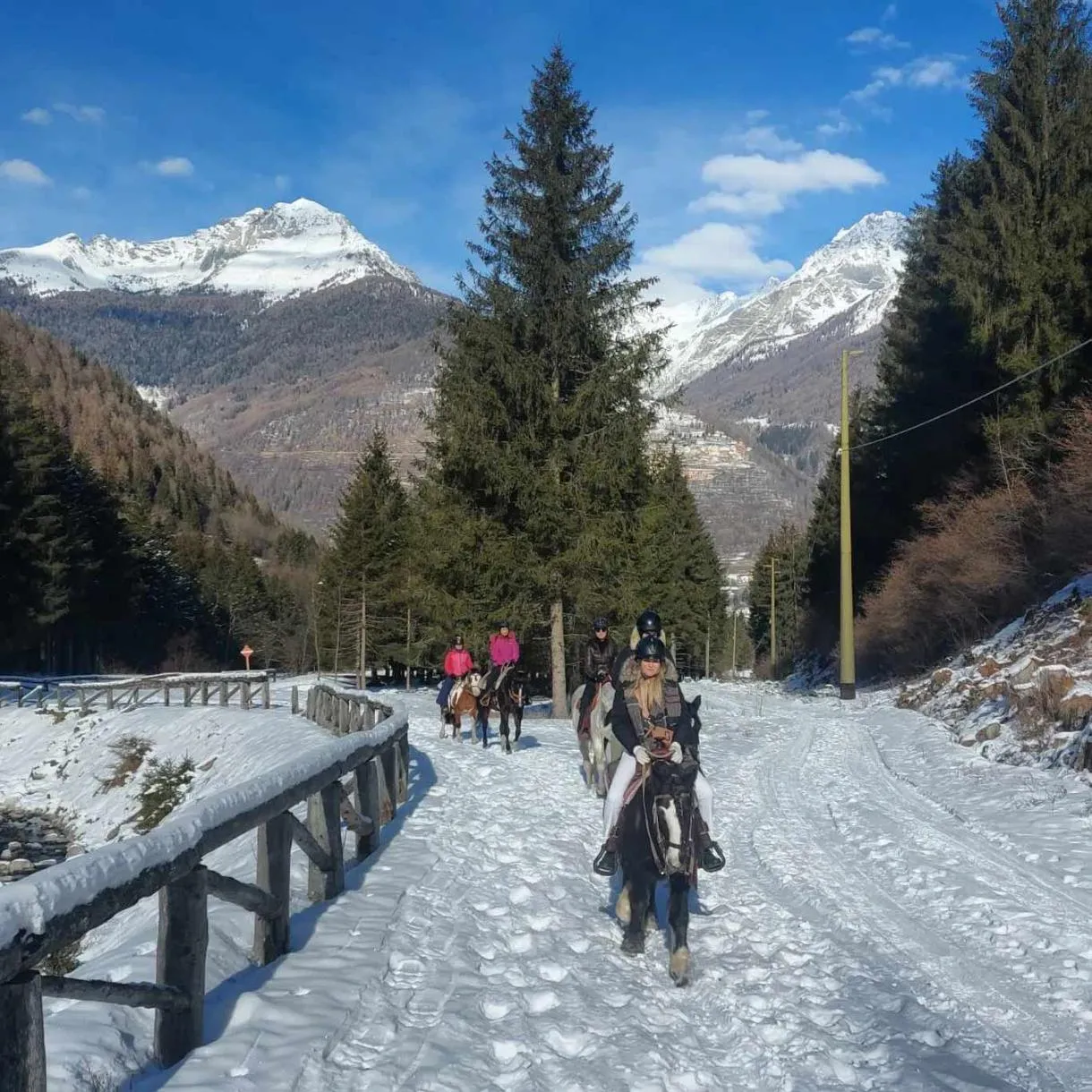 Passeggiata a Cavallo vicino a Ponte di Legno