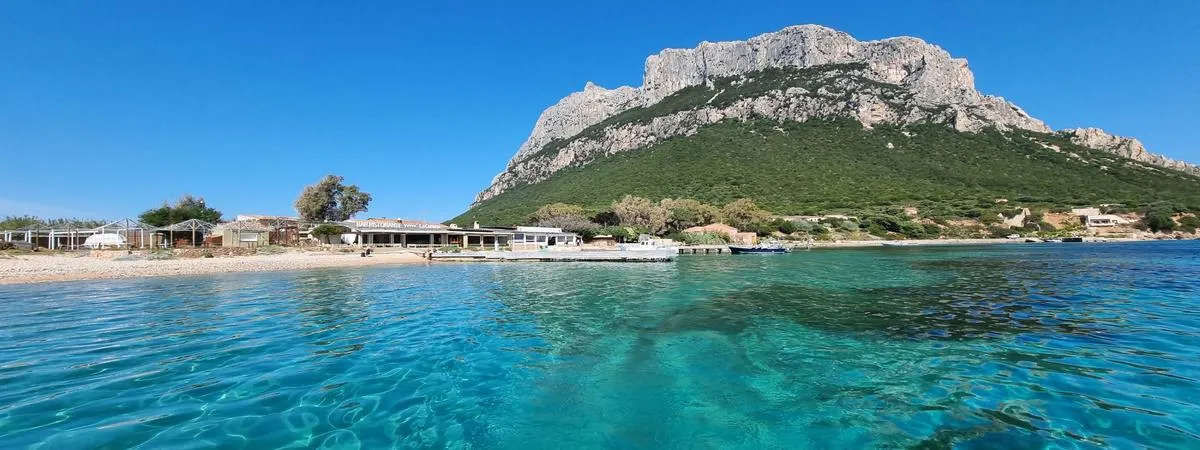 Escursione in barca con avvistamento delfini da Olbia