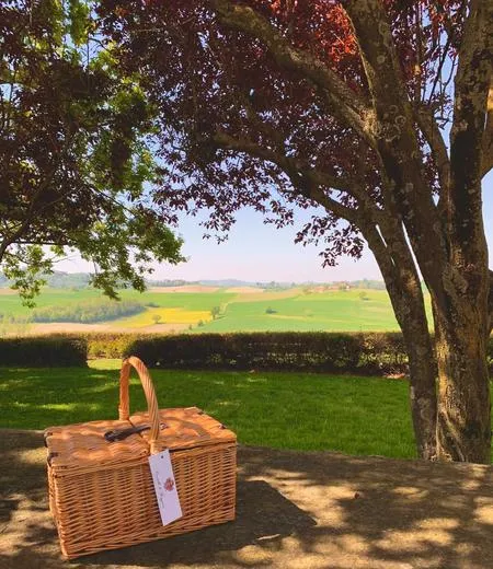 Picnic in vigna nel Monferrato al Castello di Razzano
