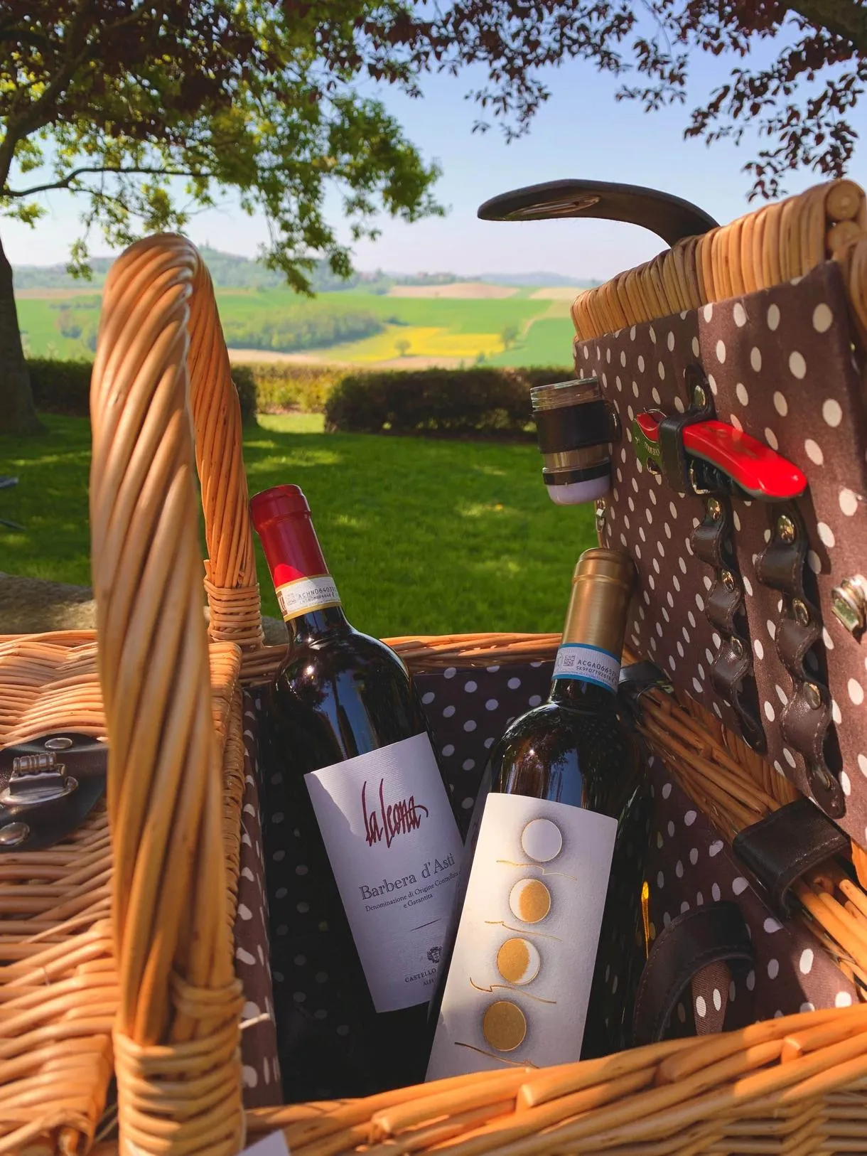 Picnic in vigna nel Monferrato al Castello di Razzano