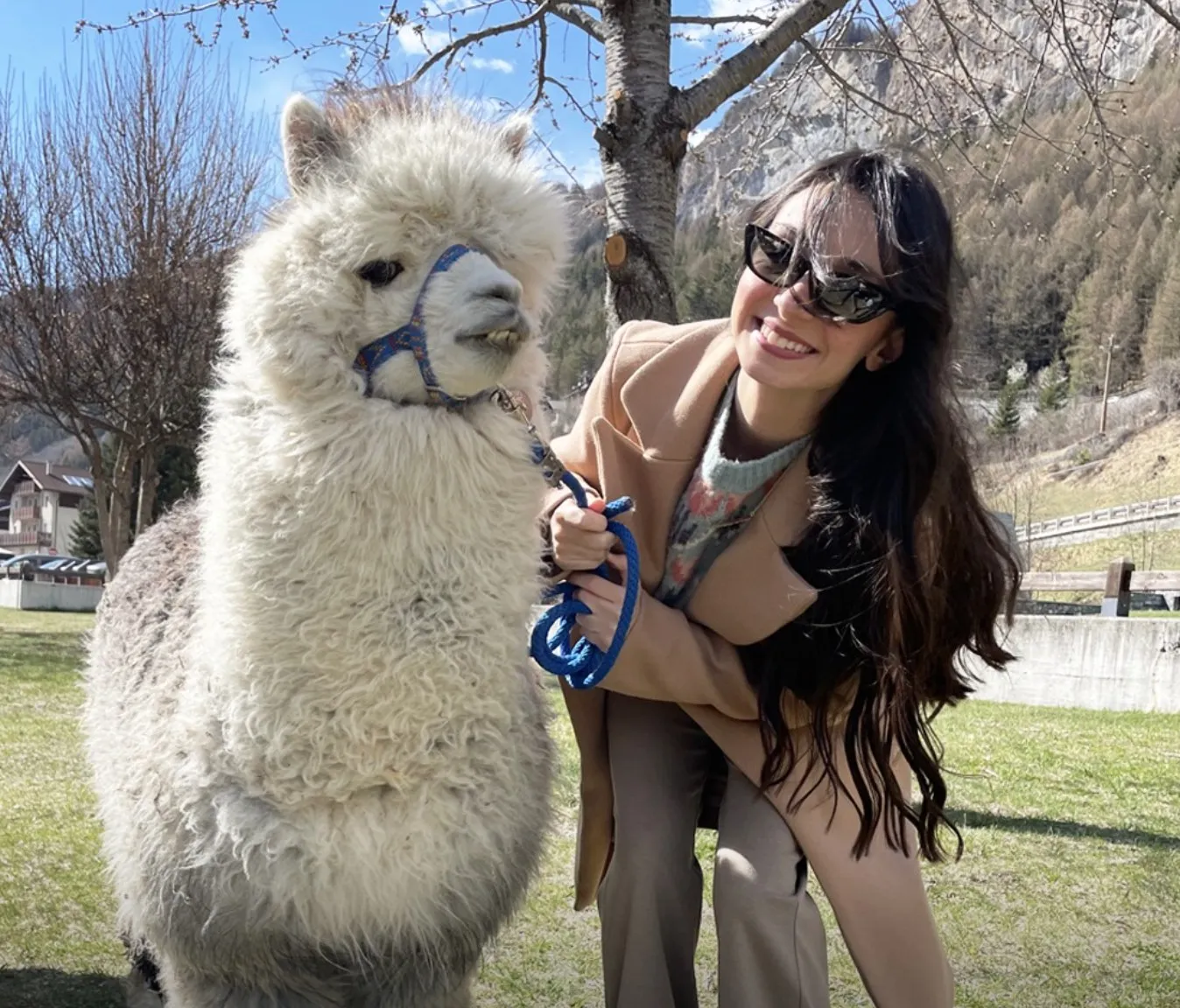 Trekking con alpaca in Valtellina fuori Bormio