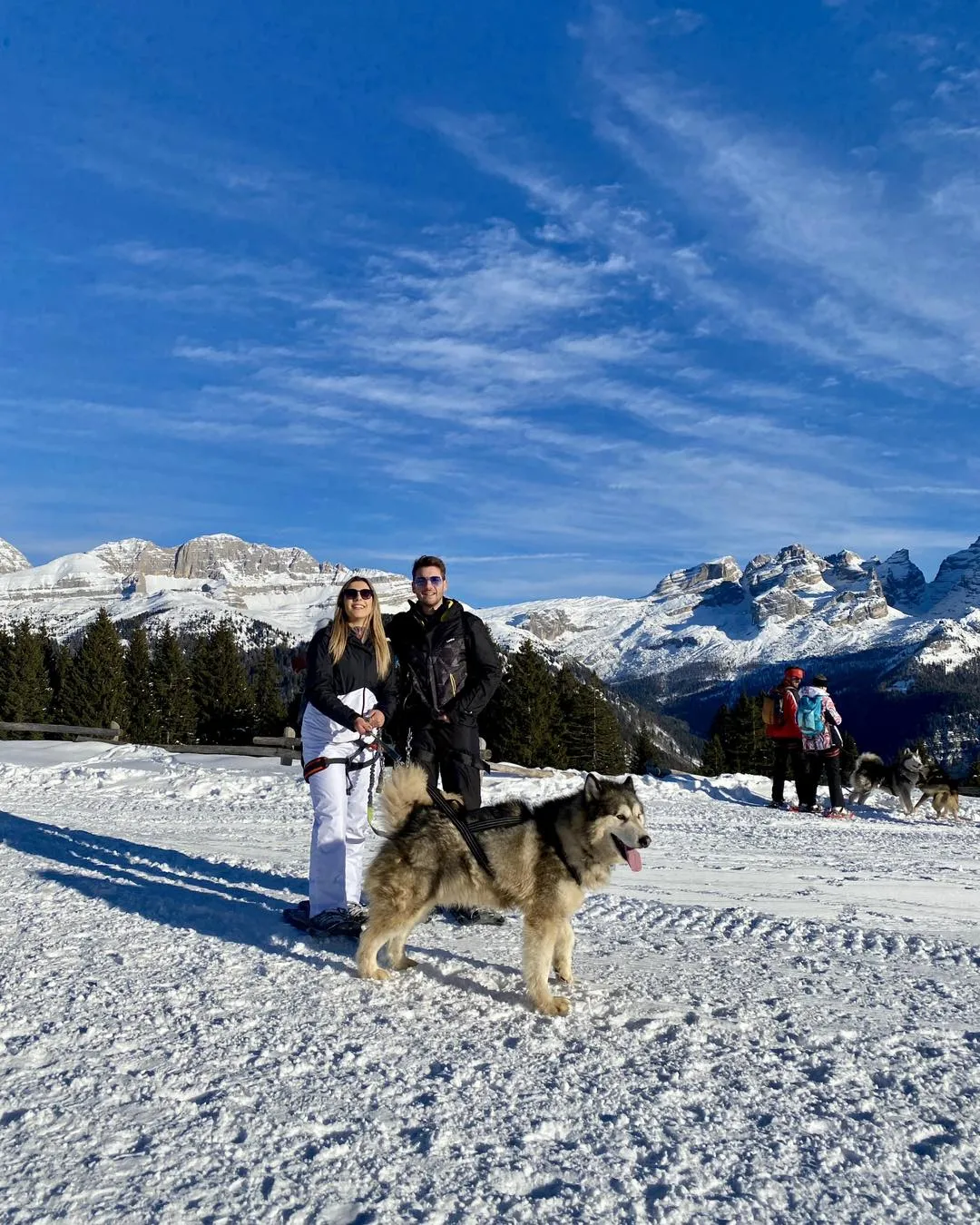 Ciaspolata con Husky tra Madonna di Campiglio e Pinzolo