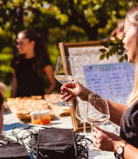 Pranzo e degustazione in Valpolicella a Pescantina